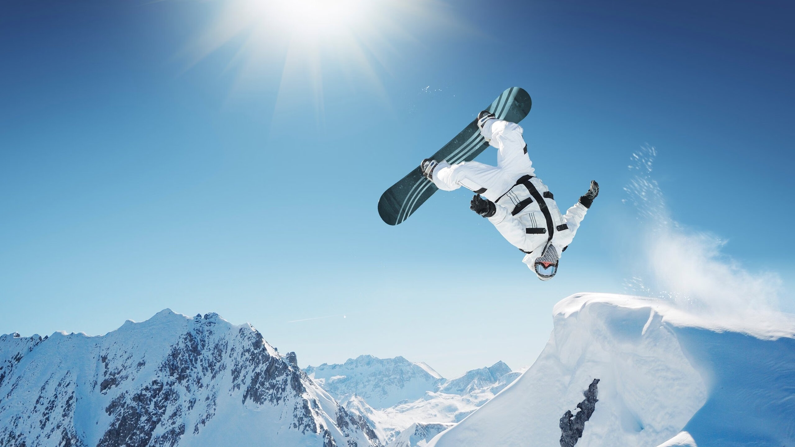 伊朗骑手阿里·巴赫蒂亚里在巴黎奥运会上与“Shahram”马匹共同参赛,尽管因马匹受伤被迫退出,但展现了坚强意志。